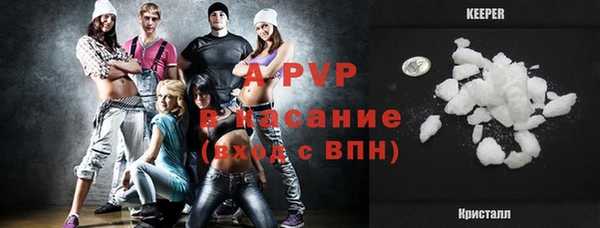 шишки Богородск