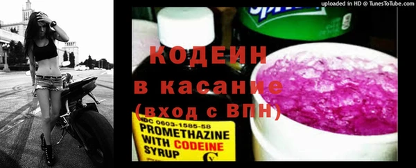 шишки Богородск