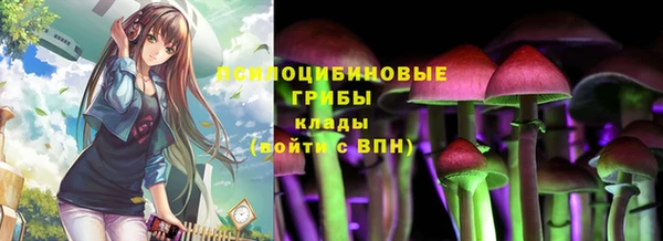 шишки Богородск