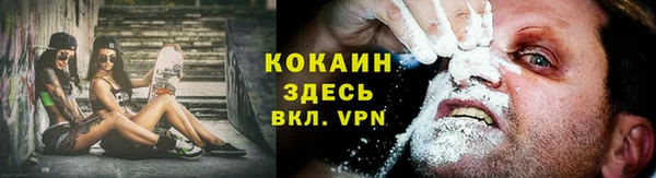 трава Богородицк