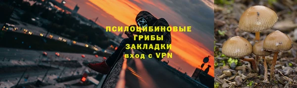 шишки Богородск