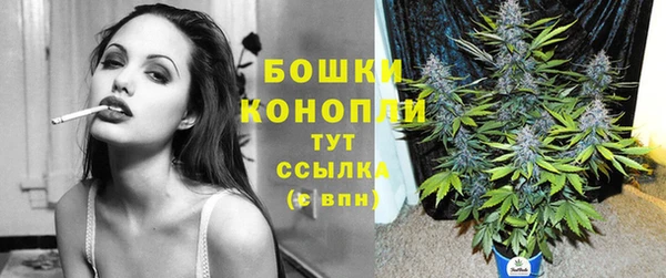 шишки Богородск