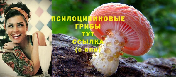 шишки Богородск