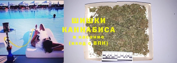 шишки Богородск