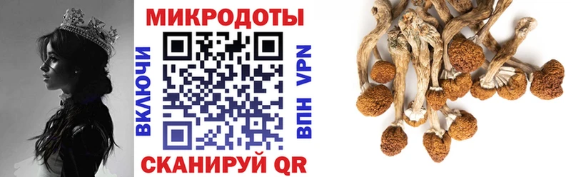 Псилоцибиновые грибы Magic Shrooms  Купить закладки  Заречный 