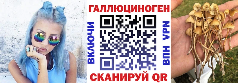 Галлюциногенные грибы ЛСД Заречный